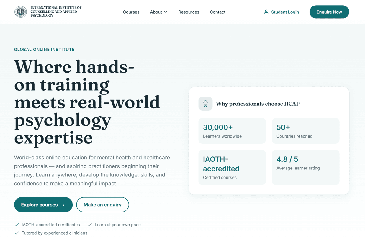 The IICAP website homepage, designed and built by Brandaigle.